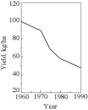 In west Texas,cotton has become an important crop in the last several decades.However,in this hot,dry part of the country there is little rainfall,so farmers irrigate their cotton fields.They must also regularly fertilize the cotton fields because the soil is very sandy.The figure below shows the record of annual productivity (measured in kilograms of cotton per hectare of land)since 1960 in a west Texas cotton field.Use these data to answer the following questions.    -Based on the information provided in the above figure,what is the most likely cause of the decline in productivity? A)The farmer used the wrong kind of fertilizer. B)The cotton is developing a resistance to the fertilizer and to irrigation water. C)Water has accumulated in the soil due to irrigation. D)The soil water potential has become more negative due to salination. E)The rate of photosynthesis has declined due to irrigation.