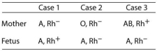 Use the following table to answer the questions below.Rh is a protein found on the surface of some people's red blood cells.    -Study the table.Giving the mother anti-Rh antibodies before delivering her baby would be a wise precaution in A)Case 1 only. B)Case 3 only. C)Cases 1 and 2 only. D)Cases 1, 2, and 3. E)It cannot be determined from the data given.