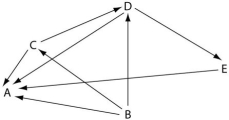 <strong>Use the following diagram of a hypothetical food web to answer the following questions.The arrows represent the transfer of food energy between the various trophic levels. Which letter represents an organism that could be a producer?</strong> A)A B)B C)C D)D E)E