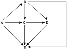 <strong>Use the following food web to answer the questions below. Food web for a particular terrestrial ecosystem (arrows represent energy flow and letters represent species) Examine this food web for a particular terrestrial ecosystem.Which species is most likely a decomposer on this food web?</strong> A)A B)B C)C D)D E)E