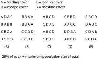 <strong>Use the following figure to answer the questions below. Study the information above about quail habitats.Which of these represents the best quail habitat in terms of fragmentation and edge?</strong> A)A B)B C)C D)D E)E