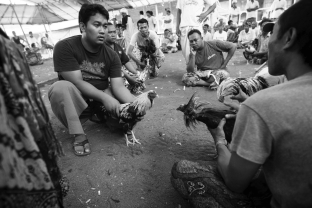 Clifford Geertz argued that every cultural action is more than the action itself. It is also a symbol of deeper meaning, subject to interpretation. What key idea in anthropology did this important theoretical idea help promote?   A)  Facial expression is a key aspect of understanding other cultures. B)  Symbols are a crucial means of understanding other cultures. C)  Balinese culture holds the key to how we might understand other cultures. D)  Meticulous field notes are the most effective way to understand other cultures.