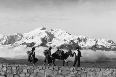 <strong>People from the high-altitude highlands of South America develop larger lung capacity in order to process more oxygen. Why does this same lung capacity not reverse if these individuals move to a lower altitude?  </strong> A) Altitude acclimatization is permanent. B) Advantageous phenotypic traits are genetically determined. C) This trait is a variation that results from only genetic factors. D) This is a permanent developmental adaptation. <div style=padding-top: 35px> 