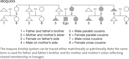Anthropologists in the early twentieth century believed that kinship structures would yield crucial data and patterns about societal structure. What was one of the primary goals of these efforts?   A)  comparison of different societies B)  determining which societies are more egalitarian C)  analysis of their own society D)  understanding universal kinship specifications for all societies