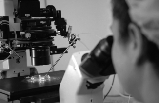 Susan Kahn found that Jewish women in Israel are deeply compelled to reproduce both the family and the nation. With the advent of reproductive technologies, this is made quite easy, and one might conclude that it is a matter of giving birth and raising the child. But this raises many very difficult questions. Many of the difficult questions hinge upon the kin system there, which is what type?   A)  bilateral B)  patrilineal C)  ambilineal D)  matrilineal