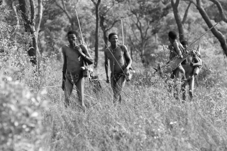 Robert Gordon's ethnography of the Bushmen challenges many stereotyped beliefs about foraging societies and notes their ethnic diversity and linguistic diversity. What is one of the surprising elements that Gordon's work reveals?   A)  their willingness to cede land to the colonial powers B)  their involvement with copper mining and trade C)  their ability to retain the lands they occupied prior to the colonial invasion D)  that their food sources also included agricultural methods