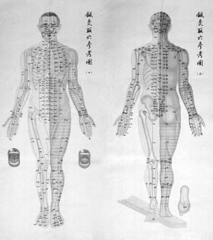 According to the text, the People's Republic of China moved to institutionalize traditional Chinese medicine through a number of different strategies, including the export of the practice to other countries. Why was this done?   A)  to improve the balance-of-trade situation in post-Mao China B)  to develop better teaching and educational methods for Chinese students of medicine C)  to broaden the experience of the  barefoot doctors  in China D)  to develop ties of solidarity with other developing nations