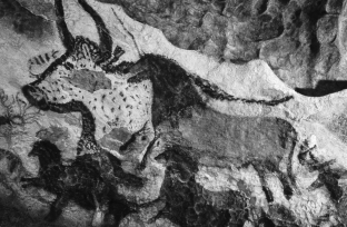 What does the analysis of European Paleolithic cave art indicate?   A)  These designs were painted by one individual. B)  There were no burials associated with the paintings. C)  The paintings depicted an equal number of humans and animals. D)  The paintings were modified over a 20,000-year period.