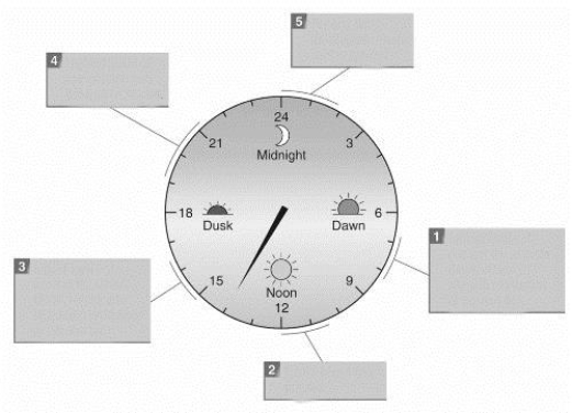 In stage 1 of this illustration, the Clock protein is ____________________, leading to ____________________ production of per and tim.   