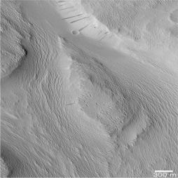 The following is a picture of a landform on Mars.What feature in this picture indicates that Mars may have had running water sometime in the past?   A) deeply cut channels formed by a flowing river B) large sandbars likely formed by a sediment-choked river C) depressions formed during collapse of sinkholes D) a large flat expanse of land,likely a desert