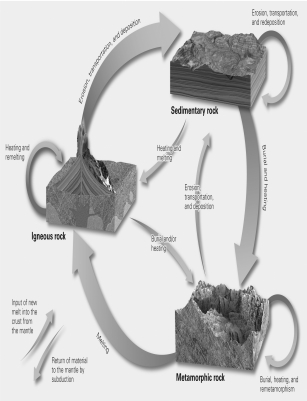 What is the name of the cycle shown in the picture?   A) hydrologic cycle B) erosion cycle C) rock cycle D) carbon cycle