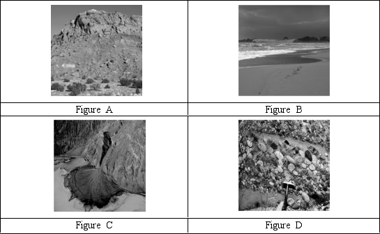 Which of the following is NOT sediment?   A) Figure A B) Figure B C) Figure C D) Figure D