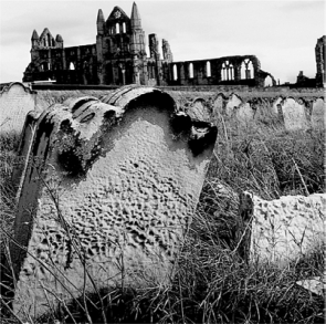 What type of weathering is shown in the following picture?   A) salt wedging B) frost wedging C) dissolution D) hydration