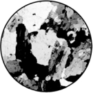 What is the term used for the arrangement of the minerals in the picture?   A) equant B) porous C) crystalline D) cemented