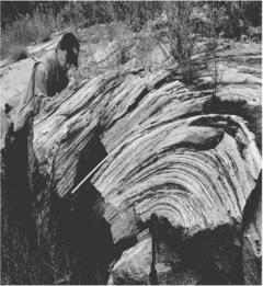 What do geologists call the layering seen in this picture?   A) tilted bedding B) metamorphic foliation C) sedimentary layers D) cleavage planes