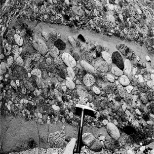 What type of rock is shown in the picture?   A) sedimentary B) igneous C) metamorphic D) crystalline