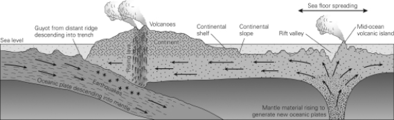 The term and concept of seafloor spreading (see figure below) was developed by ________.   A) Hess and Dietz B) Hess and Wegener C) Wegener and Dietz D) Wegener