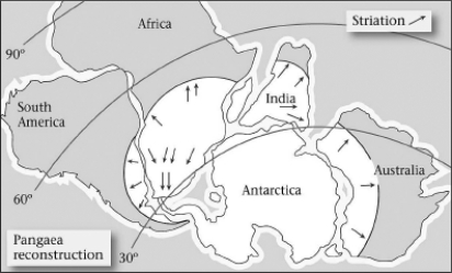 Late Paleozoic glacial deposits are NOT found in which of the following places?   A) India B) southern Africa C) North America D) South America