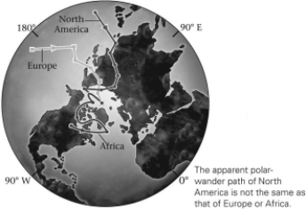 The discovery that each continent had different and separate polar-wander paths such as those in the figure below proved that ________.   A) only the continents move B) only the poles move C) both the poles and continents move,but independently of each other D) both the poles and continents move,and do so together