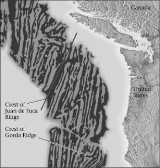 According to the figure below,marine magnetic anomalies lay roughly ________ to mid-ocean ridges.   A) perpendicular B) parallel C) adjacent D) at an obtuse angle