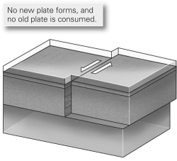 Which basic type of plate boundary is shown in the image below?   A) divergent B) convergent C) transvergent D) transform