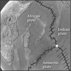 A triple junction,like the one shown below,is a place on Earth's surface where ________.   A) three volcanoes form a tight,triangular cluster B) glacial ice,continental rocks,and the ocean can be found together C) the boundaries of three lithospheric plates meet at a single point D) all three of the basic rock types are found in the same location