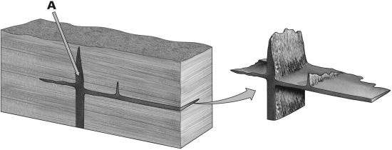 In the figure provided below,what type of igneous intrusion is the vertical rock unit shown by letter A?   A) dike B) sill C) pluton D) laccolith