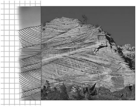 Consult the figure below.Here,distinct internal laminations are inclined at an angle to the boundary of the main sedimentary layers.This is termed ________.   A) graded beds B) cross beds C) horizontal beds D) tilted beds