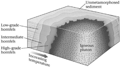 <strong>Consult the figure below.The region of thermally metamorphosed rock surrounding a cooled pluton is called a(n)________. </strong> A)shear zone B)aureole C)oriole D)metamorphic ring