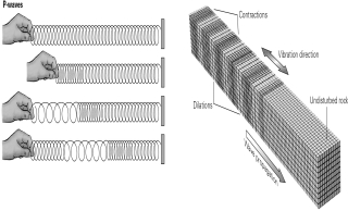 As shown in the figure below,a coiled spring would be useful in illustrating any ________ wave.   A) surface B) body C) shear D) compressional