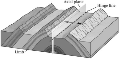 A fold shaped like an elongate arch is a(n) ________.   A) anticline B) basin C) dome D) syncline