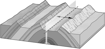 The sides of a fold,where curvature is at a minimum,are termed ________.   A) branches B) limbs C) axial planes D) hinges