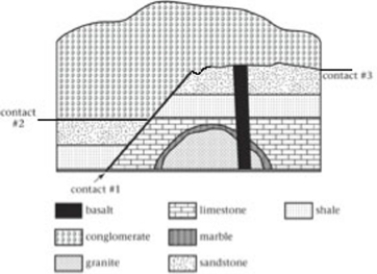 Contact #3 is both a ________ and a(n) ________ at various points.   A) conformable contact;unconformity B) fault;unconformity C) nonconformity;angular unconformity D) disconformity;nonconformity
