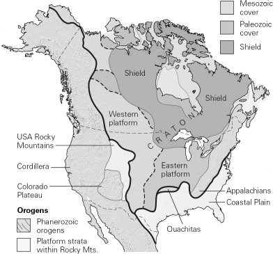 Through geologic time,continents have drifted over the surface of Earth,but each continent has ________.   A) always been about as large as it is today B) grown by the addition of Precambrian shields C) grown by addition of crustal fragments D) grown by crustal stretching