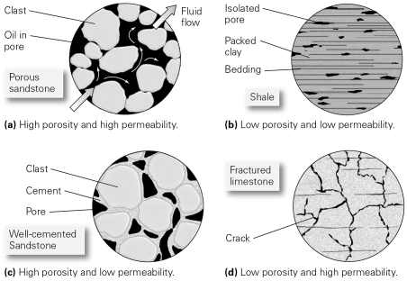 Permeability is a measure of ________.   A) how many pores are present within a rock B) the percentage of rock volume that is composed of pores C) how well the pores within rock are connected D) the mass of a body of rock divided by the mass of an equal volume of water