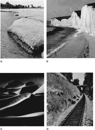 Which of the following figures shows an area that would be most susceptible to slope failure?   A) a B) b C) c D) d