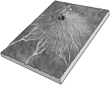 The figure below shows an example of a ________ drainage network.   A) dendritic B) radial C) rectangular D) trellis
