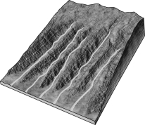 The figure below shows an example of a ________ drainage network.   A) dendritic B) radial C) parallel D) trellis