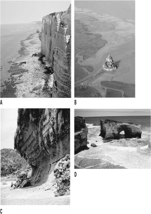 Which of the following figures shows a coast experiencing high tide?   A) A B) B C) C D) D
