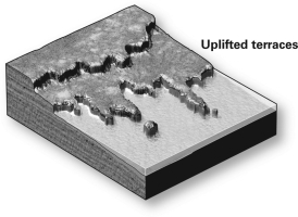 What will eventually happen to the headlands in the figure below?   A) They will join as the bays in between fill with sediment. B) They will become a straight line of cliffs as rock is eroded away. C) They will remain as they are for millions of years. D) The sea will submerge them as the terrace is uplifted.