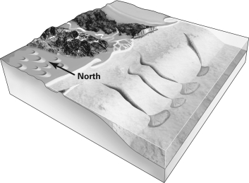 In the figure below,which direction is the longshore drift?   A) south B) east C) west D) It is not possible to tell.