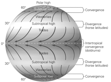 In the figure below,the intertropical surface convergence became known as the doldrums because ________.   A) many horses died of heat exhaustion while being transported B) the wind moves in the wrong direction for trade ships C) the winds along the equator are very slow D) the airflow is mainly downward