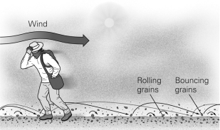 In the figure below,the sand grains are being transported by ________.   A) suspension B) saltation C) surface creep D) deflation