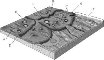 Identify the esker in the figure below.   A) E B) C C) A D) F