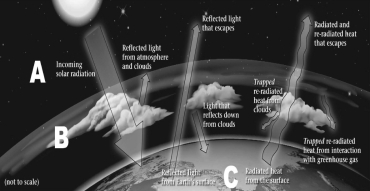 The figure below shows the transmission,absorption,and reflection of radiation from various sources.In which layer (A,B,or C) do greenhouse gases accumulate?   A) A B) B C) C D) Greenhouse gases are free to move among the layers.