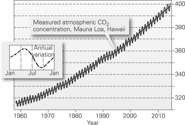 <strong>In the figure below,why is there a seasonal variation in carbon dioxide (CO₂)concentrations?  </strong> A)CO2 concentrations rise and fall as photosynthesis decreases and increases. B)CO2 concentrations rise and fall in conjunction with power plant emissions. C)CO2 concentrations rise and fall with variations in solar radiation. D)The measurements were made in different places at different times of year. <div style=padding-top: 35px> 