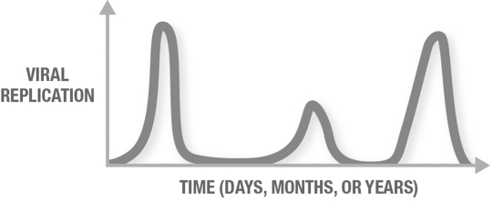 Which type of viral infection is demonstrated by the graph?   A)  chronic persistent B)  acute non- persistent C)  latent persistent D)  lysogenic E)  acute persistent