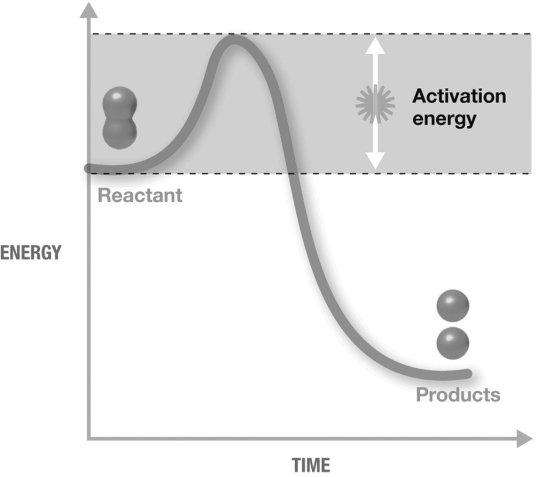 The figure shown is an exergonic reaction because   A)  activation energy was required. B)  it is a decomposition reaction and the products have a lower final energy than the reactants. C)  it is a decomposition reaction. D)  the products have a lower final energy than the reactants. E)  activation energy was required and the products have a lower final energy than the reactants.