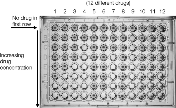 Which of the following drugs demonstrates the most effective minimal inhibitory concentration?   A)  2 B)  4 C)  5 D)  6 E)  9