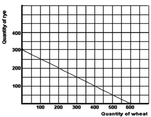 <strong>Below is a production possibilities curve for a large tract of prairie farm land. Refer to the graph above to answer this question.What is the opportunity cost of 1 unit of wheat?</strong> A)0.5 units of rye. B)2 units of rye. C)5 units of rye. D)$2.